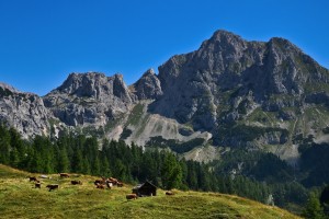 Število nesreč v gorah je strmo naraslo