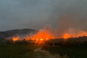 Turčija: v silovitem požaru umrlo deset gasilcev in reševalcev