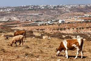 Izraelski naseljenci napadli krščansko vas na Zahodnem bregu