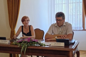Obnovili bodo stolp Gradu Brežice