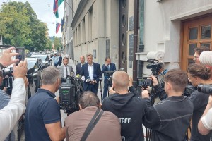 Neučinkovit pristop k reševanju socialne in varnostne problematike v JV Sloveniji in Posavju