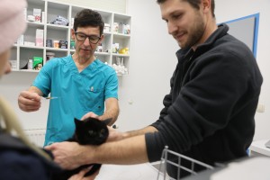 Zagrozili zaradi sibirske mačke: Mi poznamo inšpektorje!