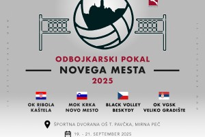 Odbojkarji Krke konec tedna gostijo Pokal Novega mesta
