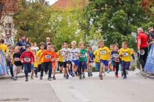 8. novomeški polmaraton - poročilo 1. dan