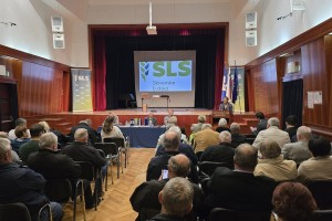 SLS se bo pred volitvami povezala s sorodno stranko, najverjetneje NSi