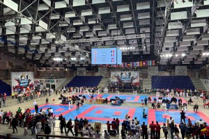 Kar 13 medalj za novomeške karateiste