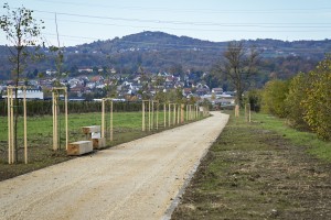 Zaključuje se 1. faza ureditve večnamenske poti ob Savi