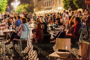 Odprt razpis za sofinanciranje organizacij in posameznikov v MO Novo mesto