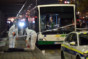 policija baravrski dvor.jpg