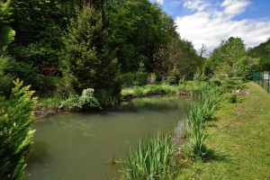 Ribiški LAS Posavje prejel odobritev sofinanciranja za tri nove projekte