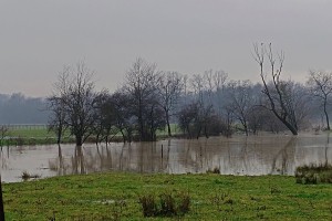 kolpa, reka