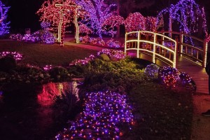 Najbolj spektakularna Božična bajka Slovenije
