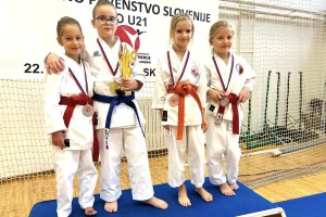 Dva državna prvaka in državni podprvak v Karate klubu Mirna Peč in Radeče