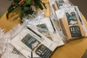 Festival "Brati gore 2025" v Brežicah