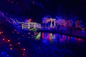 Božična bajka v Mozirskem gaju