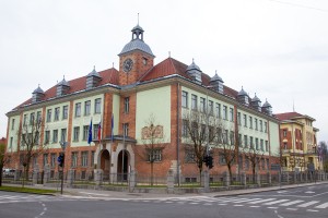 mzz Marko Vavpotic.jpg