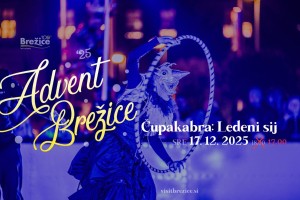 Advent Brežice - obvestilo o spremembi v programu