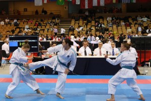 1x zlato in 3x srebro za mirnopeške in radeške karateiste