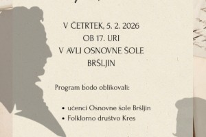 OŠ Bršljin pripravlja prireditev ob kulturnem prazniku