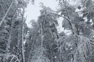 snegolom, obilno-snezenje