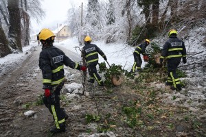 sneg snegolom drevesa maribor.jpg