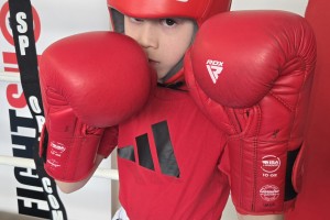 Shonyjevim boksarjem 6 zmag