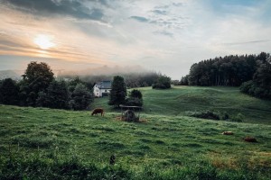 Odprt javni razpis za razvoj kmetijstva in podeželja v Novem mestu