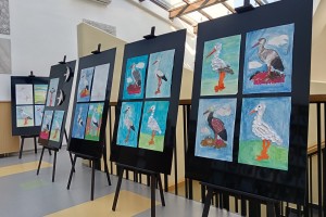 Na strokovnem oddelku brežiške knjižnice pozdravili štorklje