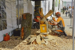 Slovenski tekmovalci na svetovnem gozdarskem prvenstvu odnesli deset medalj