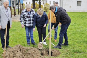 Občina Brežice tudi s sajenjem lip izkazala podporo čebelarstvu in čebelam