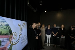 Festival gradovi Posavja