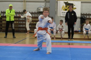 Uspešen nastop Karate kluba Brežice na 1. Zajčkovem kata turnirju 2026