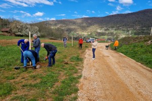 Sajenje medovitih dreves in čistilna akcija v Občini Straža