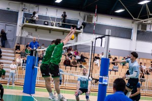 Krki ni uspelo, v finale gre Calcit Volley
