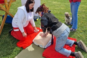 Festival športa in rekreacije Športno mesto 2026