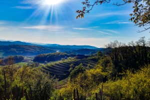 Nova sredstva za podeželje: tretji poziv LAS Dolenjska in Bela krajina
