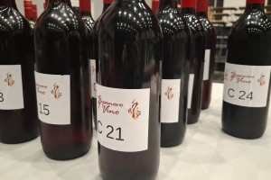 V Brežicah potekal že 12. izbor županovih vin