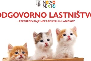 Sofinanciranje sterilizacije in kastracije lastniških mačk