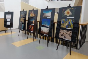 Štirje stebri sveta mlade ustvarjalke Lejle Ebner