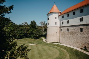 Prvi Festival Gradov Posavja