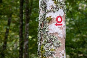 Foto Jure Eržen.jpg