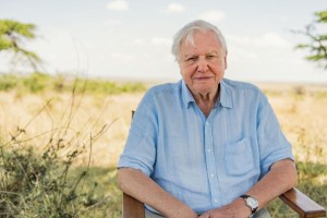 David Attenborough.jpg