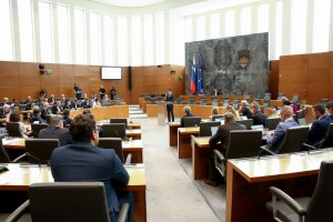 drzavni zbor dz.jpg