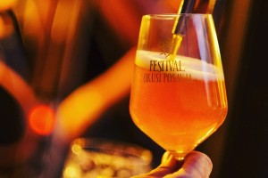 FESTIVAL PIVA IN BBQ KRŠKO 2026