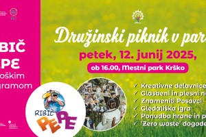 DRUŽINSKI PIKNIK V PARKU