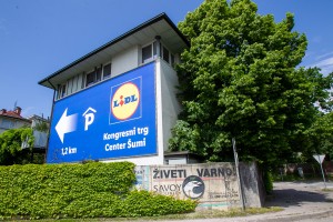 vila ljubljana Robert Balen.jpg