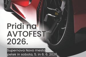 Iščemo dolenjskega mojstra avtomobilov
