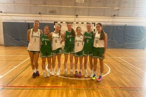 Krkašice na držav'cu 3x3, Krka bele bronaste