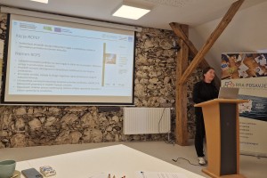 Opredeljena vizija Regionalne celostne prometne strategije Posavje