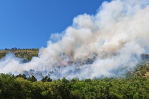Gasilska zveza slovenije.jpg